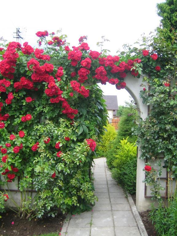 Bellavilla VNO Exterior foto